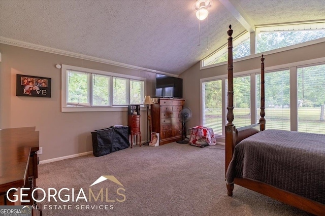 1088 New Rosedale Rd NE, Armuchee, GA 30105 - carpeted bedroom with a textured ceiling, crown molding, and baseboards
