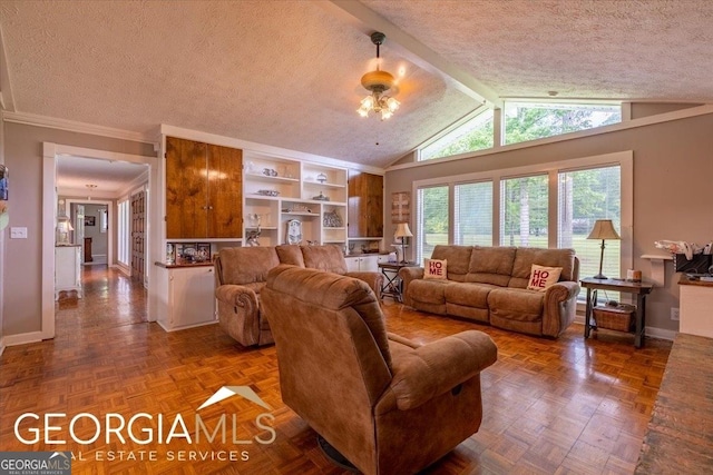 1088 New Rosedale Rd NE, Armuchee, GA 30105 - living area featuring a textured ceiling, lofted ceiling, and baseboards