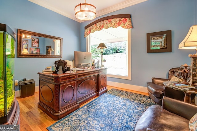 office featuring crown molding and light wood-type flooring