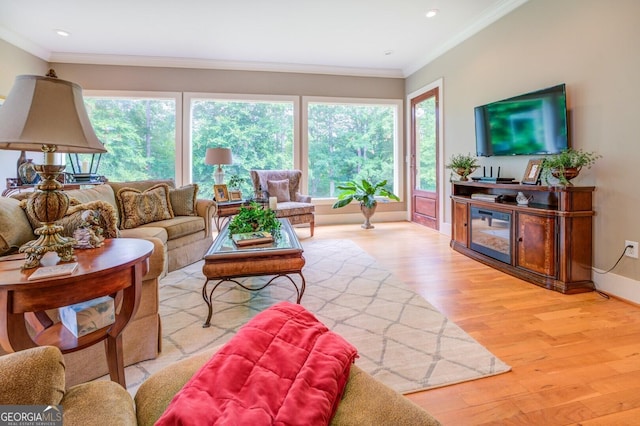 living room with ornamental molding and light hardwood / wood-style flooring