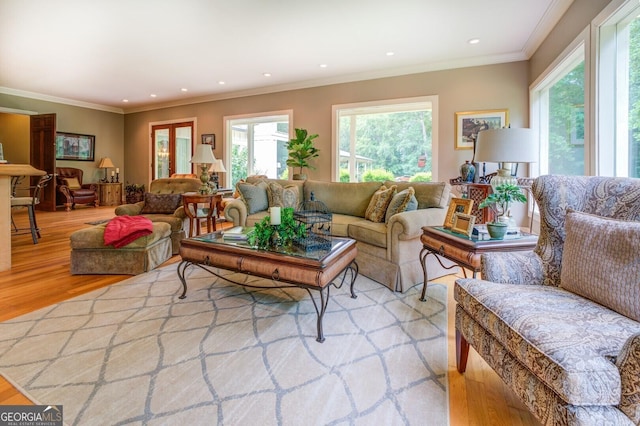 living room with light wood-type flooring and ornamental molding