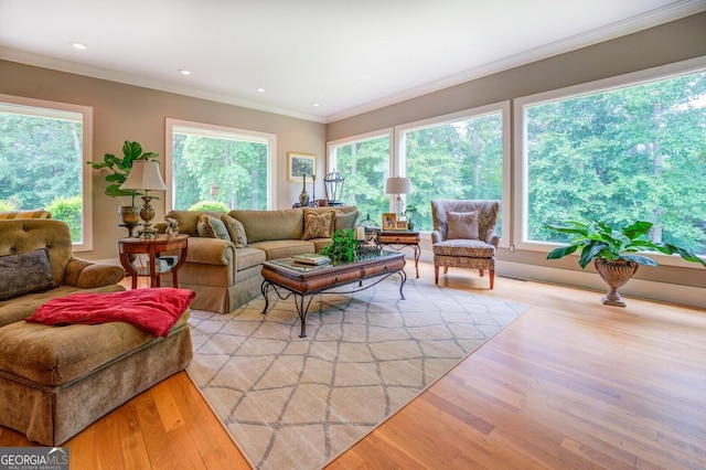 living room featuring crown molding and light hardwood / wood-style flooring