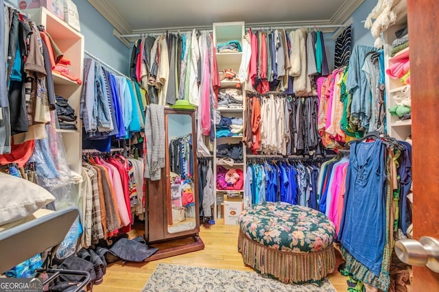 walk in closet with wood-type flooring