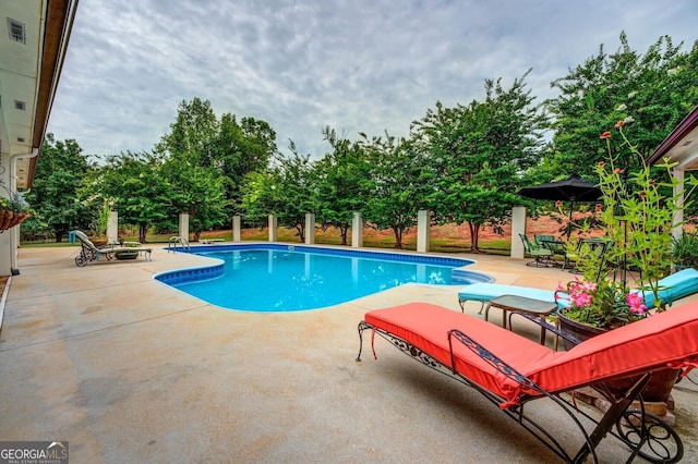 view of pool with a patio area