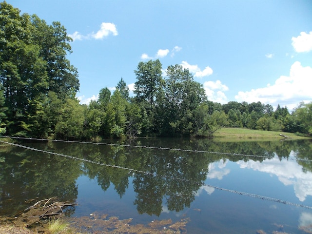 view of water feature