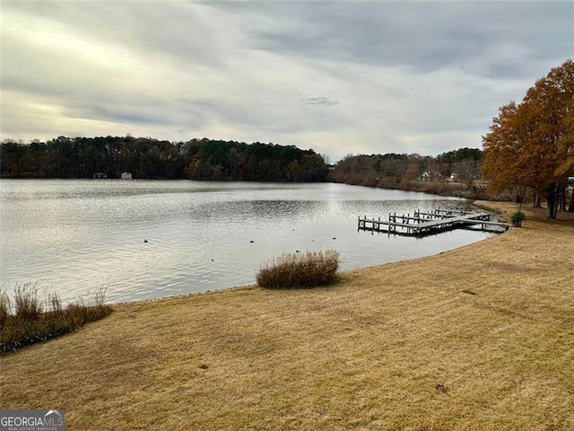 property view of water with a boat dock