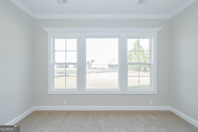 unfurnished room featuring carpet floors and ornamental molding