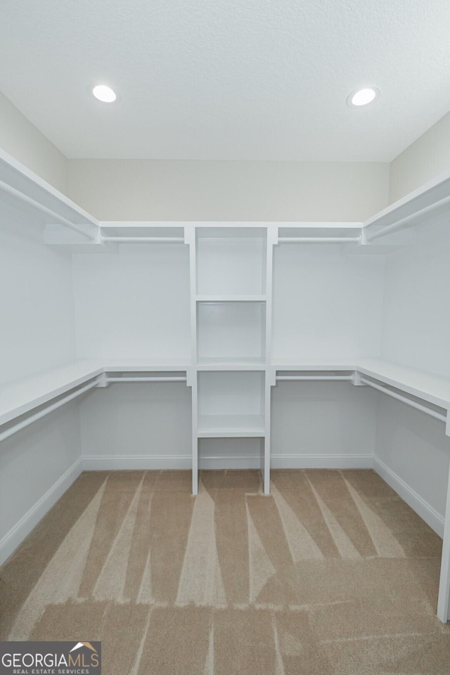 spacious closet featuring carpet flooring