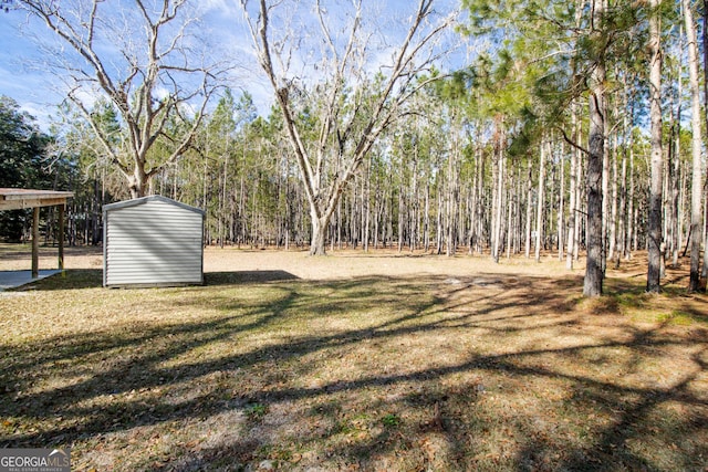 view of yard with a storage unit