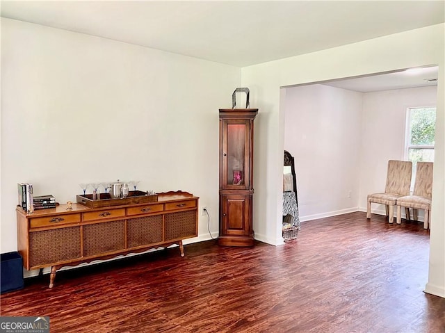 living area with dark hardwood / wood-style floors