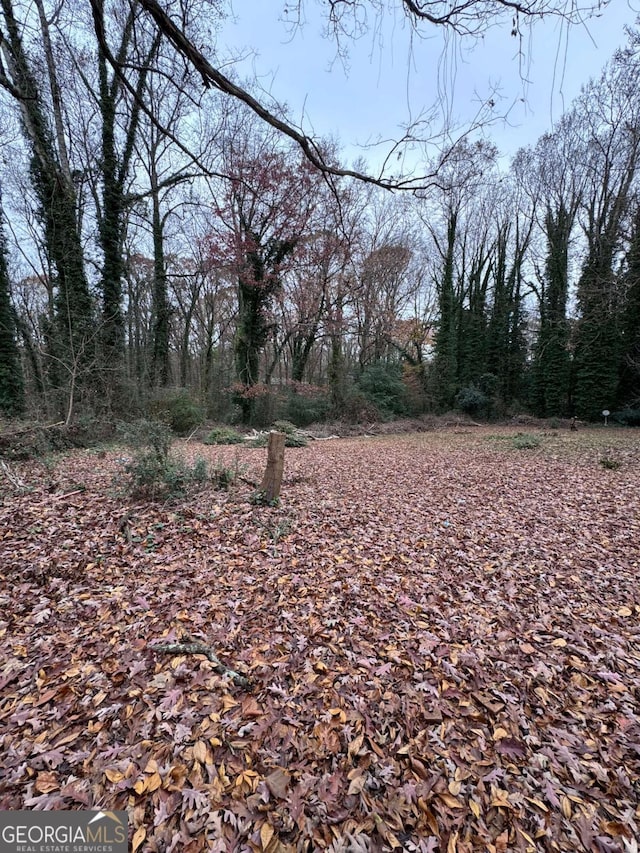 view of local wilderness