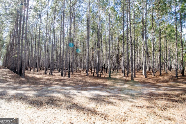 0 Bub Ln, Ellabell GA, 31308 land for sale