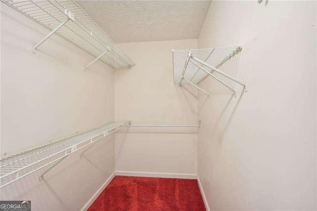 walk in closet with carpet flooring