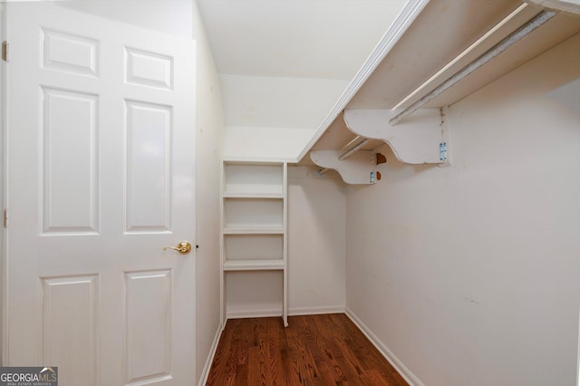 spacious closet featuring dark wood-type flooring