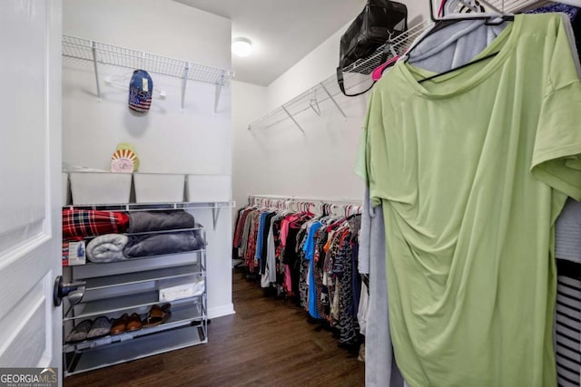 spacious closet with dark hardwood / wood-style flooring