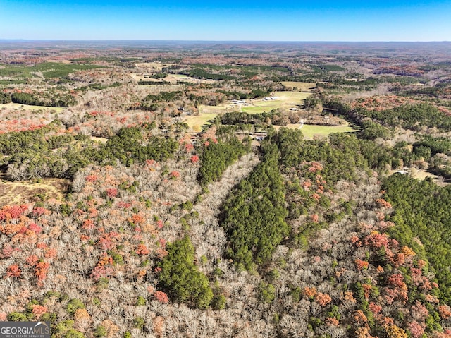 0 Steadman Rd, Tallapoosa GA, 30176 land for sale