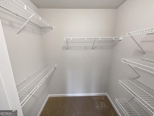 walk in closet with carpet flooring