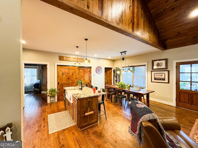 kitchen featuring pendant lighting, plenty of natural light, sink, and an island with sink