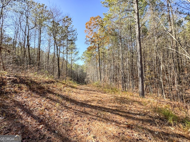 view of local wilderness