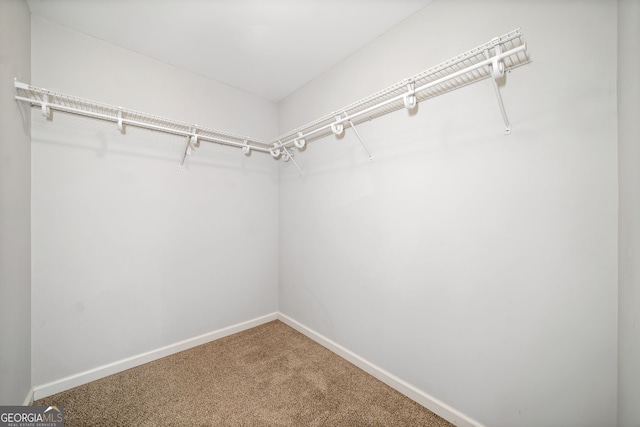 spacious closet with carpet floors