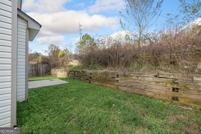 view of yard with a patio