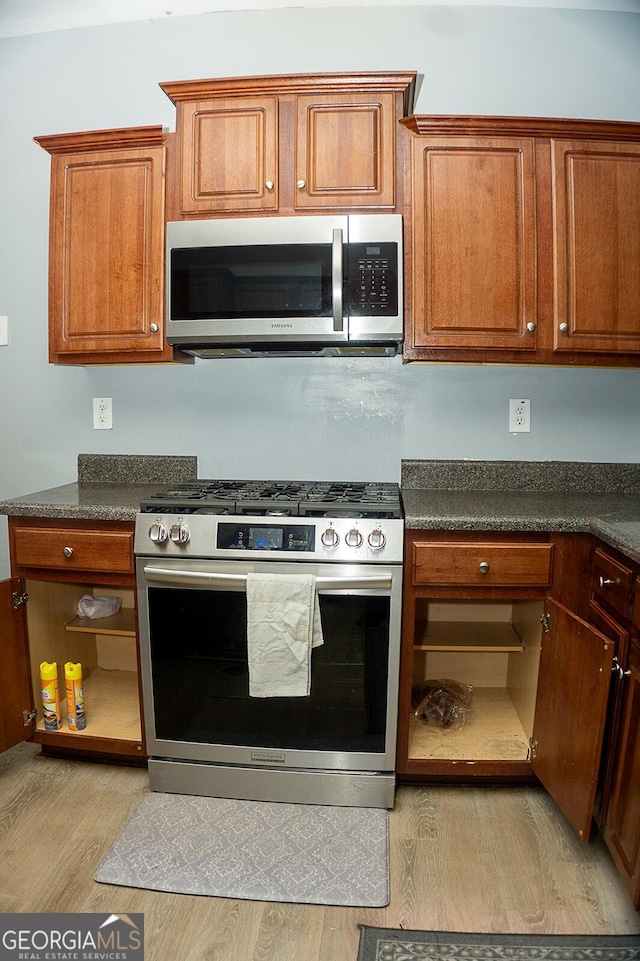 kitchen with light wood-type flooring and stainless steel appliances