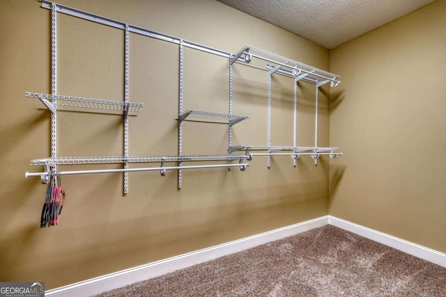 walk in closet with carpet