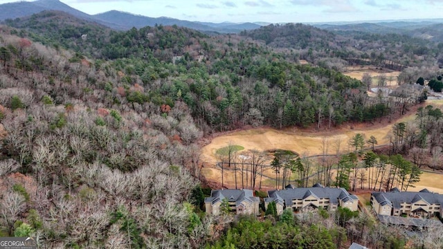 drone / aerial view featuring a mountain view