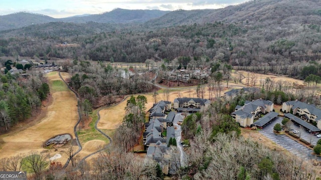 drone / aerial view featuring a mountain view