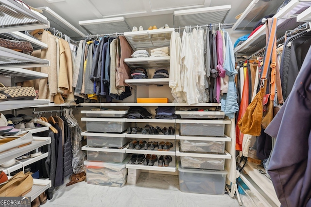 view of spacious closet