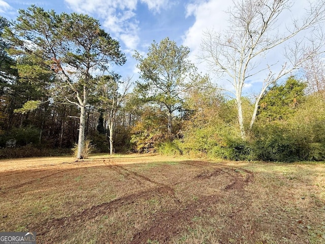 view of local wilderness