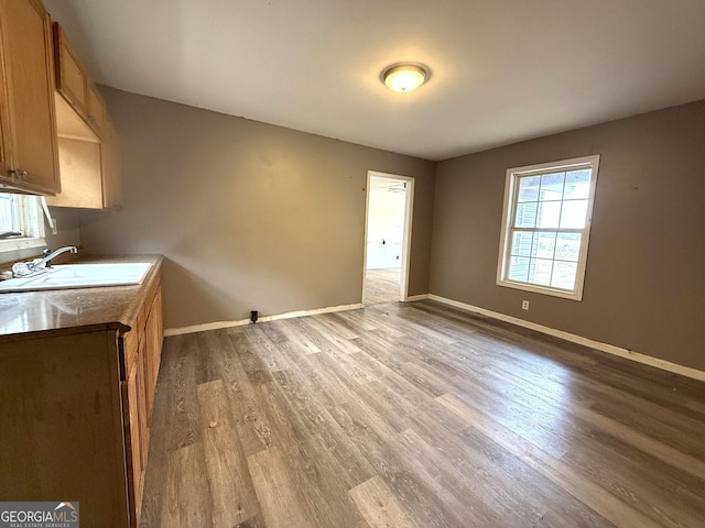 interior space featuring light hardwood / wood-style floors and sink