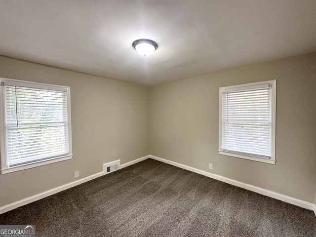 carpeted empty room featuring a wealth of natural light