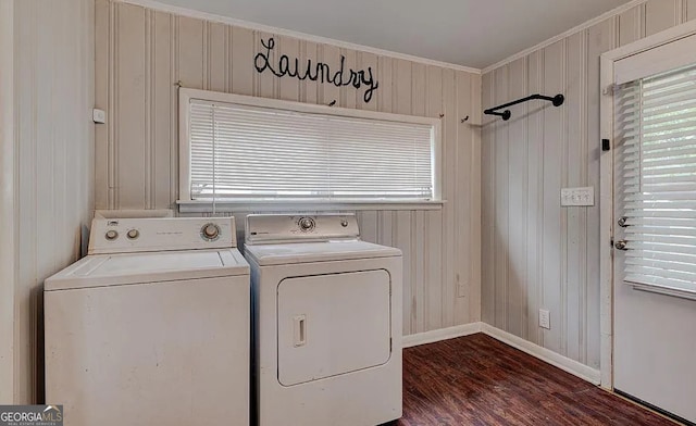 laundry area featuring independent washer and dryer, dark hardwood / wood-style flooring, ornamental molding, and wood walls