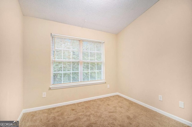 carpeted empty room with lofted ceiling and a textured ceiling