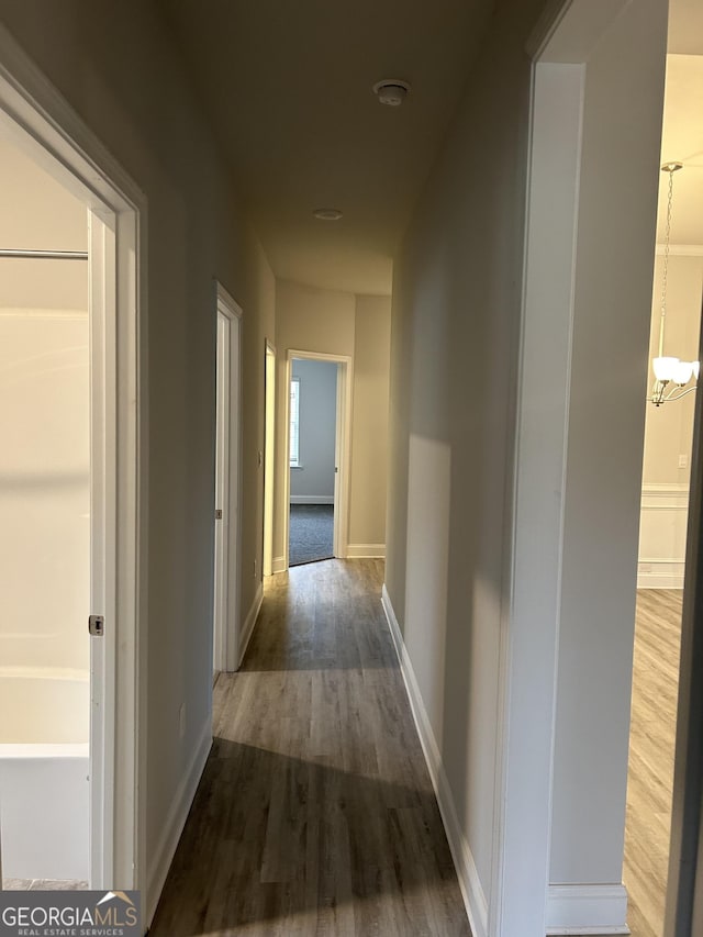 corridor featuring dark hardwood / wood-style floors and an inviting chandelier