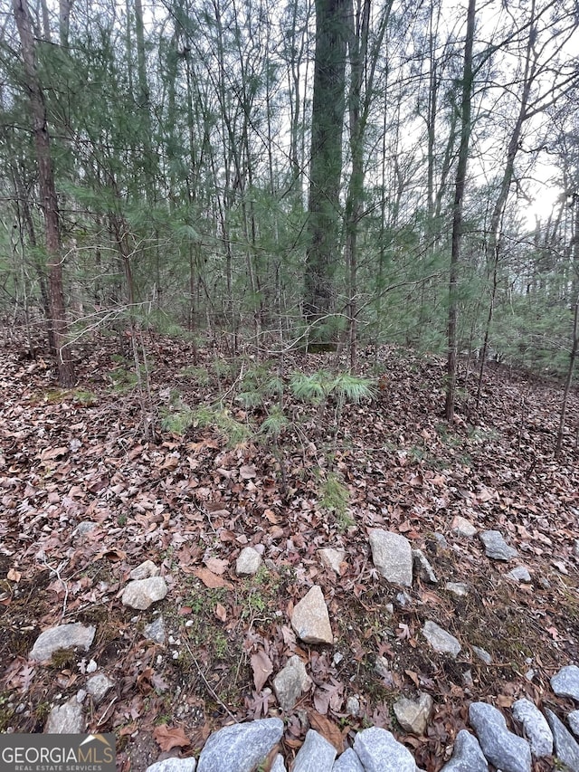 700 Kingwood Dr, Clayton GA, 30525 land for sale