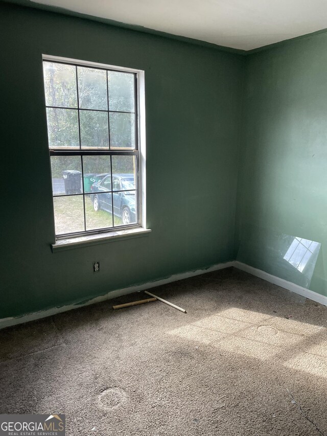 carpeted spare room with a wealth of natural light