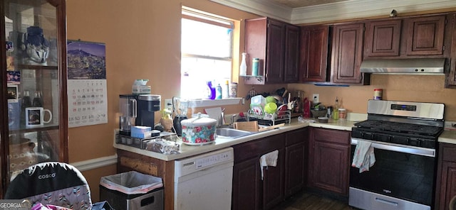 kitchen with stainless steel gas range, white dishwasher, extractor fan, crown molding, and sink