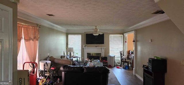 living room with ceiling fan, plenty of natural light, hardwood / wood-style floors, and ornamental molding