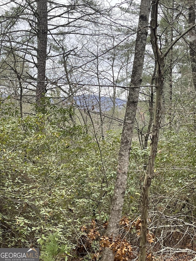 00 Hidden Falls Dr Lot 6, Tiger GA, 30576 land for sale