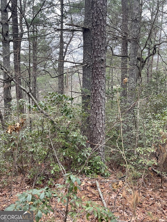 Listing photo 3 for 00 Hidden Falls Dr Lot 6, Tiger GA 30576