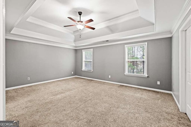 carpeted empty room featuring ceiling fan, a raised ceiling, and ornamental molding