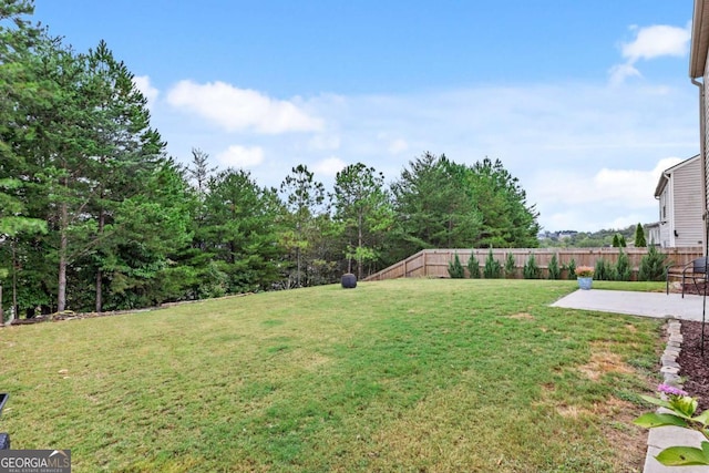 view of yard with a patio area