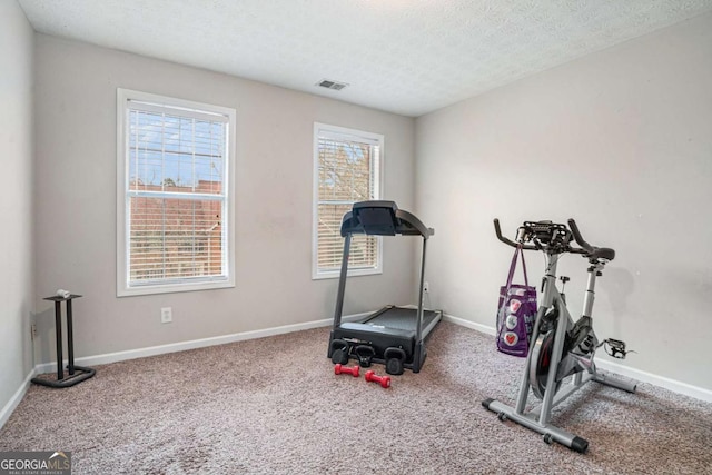 exercise area featuring carpet floors, a healthy amount of sunlight, and a textured ceiling