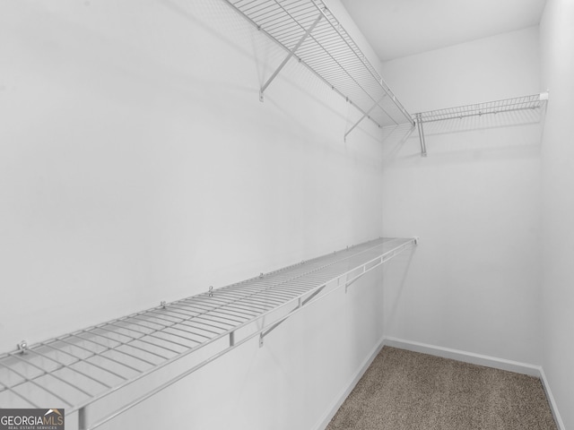 1215 White Oak Way, Griffin, GA 30224 - spacious closet featuring carpet