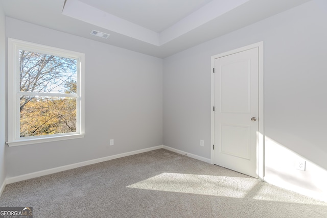 unfurnished room featuring a raised ceiling and carpet flooring