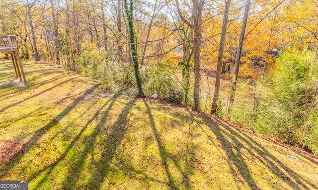 view of yard featuring a view of trees