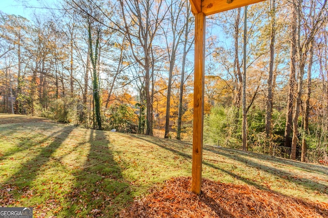 view of yard featuring a wooded view