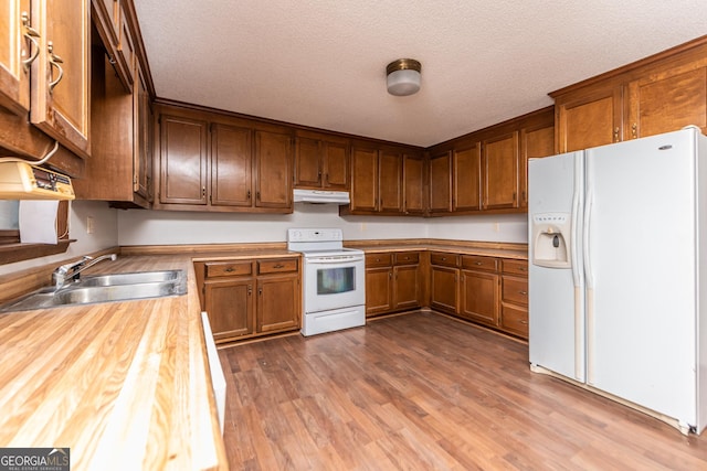 kitchen featuring hardwood / wood-style floors, white appliances, sink, and a textured ceiling